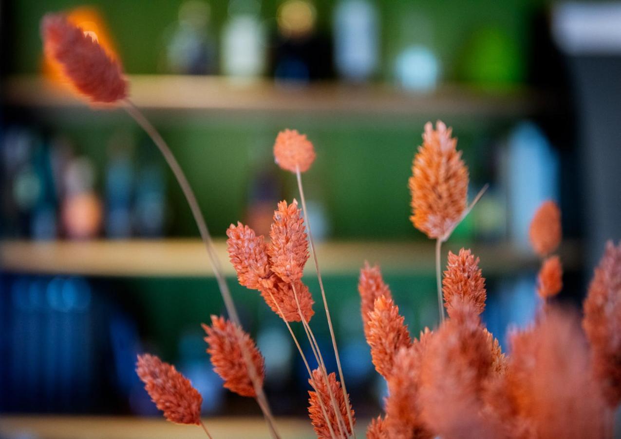 Auberge Pom'Poire อาแซ-เลอ-ริโด ภายนอก รูปภาพ